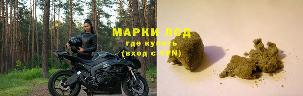 apvp Рославль