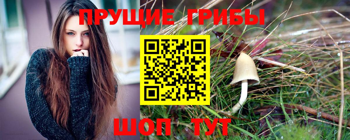 Заринск  Псилоцибиновые грибы Psilocybe  продажа наркотиков  Вход с VPN 