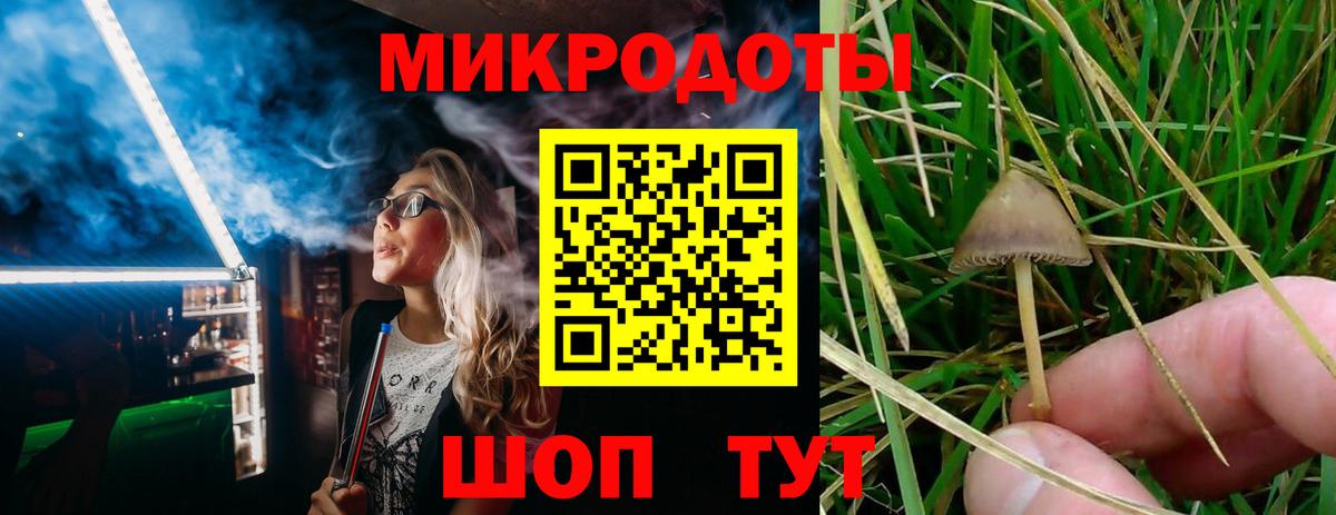 Псилоцибиновые грибы GOLDEN TEACHER Заринск