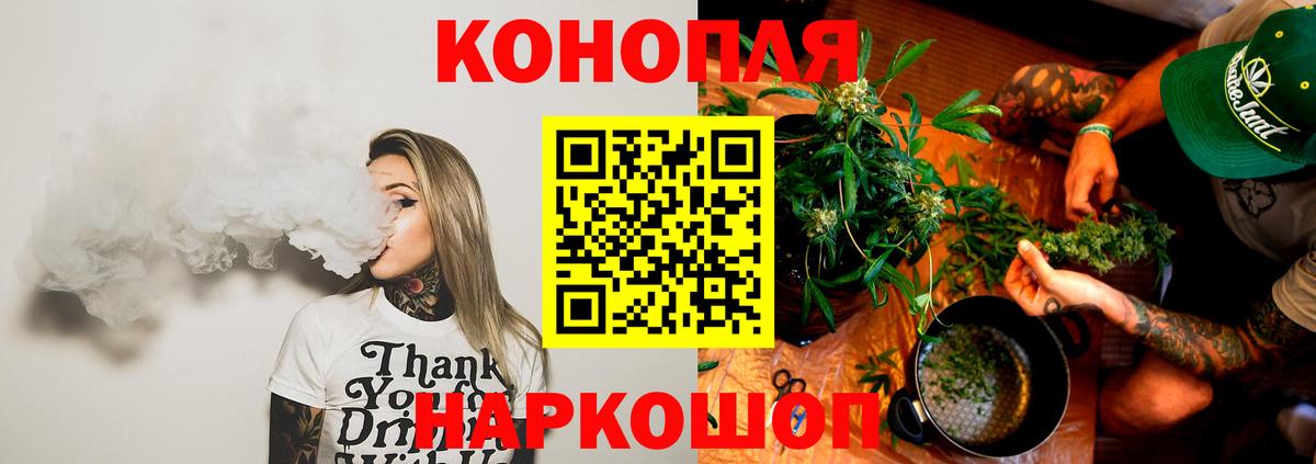 Конопля семена Заринск